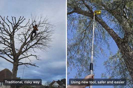 How to Prune Tall Trees Without a Ladder or Climbing