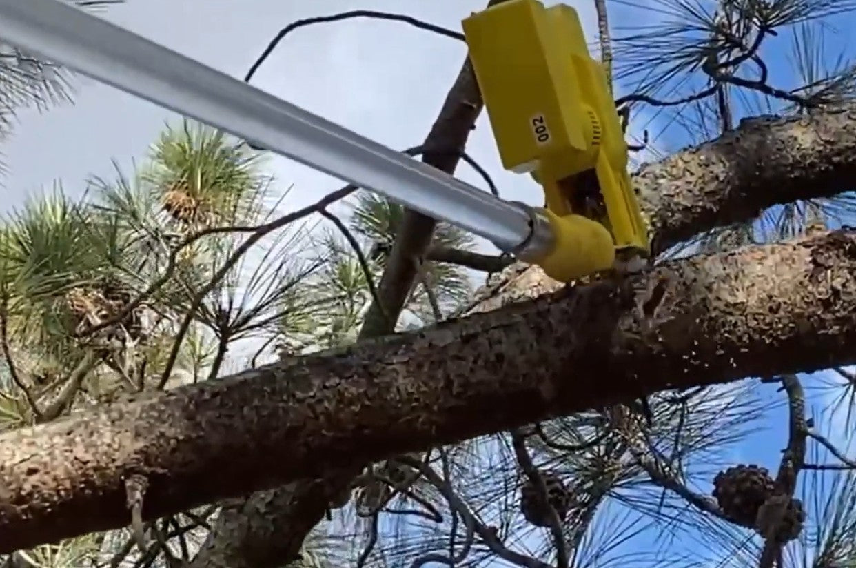 SFT20-2 on a long pole to trim a pine  tree branch 30ft high